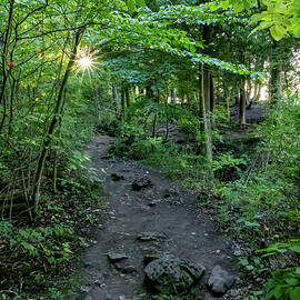 Scenic View from Mt Nemo 4 by John Twynam