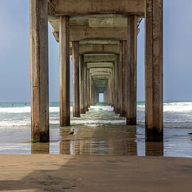 Scripps Pier by Alison Frank