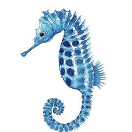 Sea Horse by Lucia Stewart
