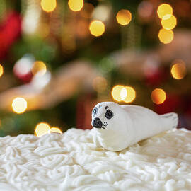 Seal on Christmas cake with tree lights by Steven Heap