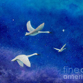 Second Star to the Right by Sarah Irland