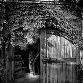 Secret Garden Gate by Mary Lee Dereske