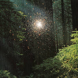 Secret spot by Fran Rodriguez