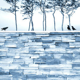 Secrets behind the Wall by Moira Risen