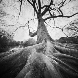 Secured  by Will Gudgeon