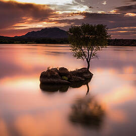 Seeking Stillness by Matt Halvorson