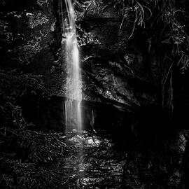 Sempervirens Falls of light by Matt Halvorson