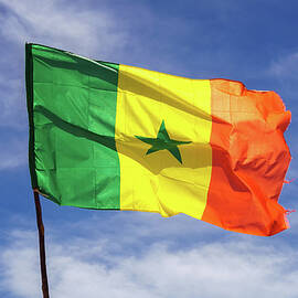 Senegal flag waving in the wind against sky by Miroslav Liska