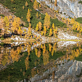 Serene Autumn Lake Federa Reflection by Elvira Peretsman