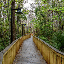 Serene Boardwalk in Kissimmee by John Twynam