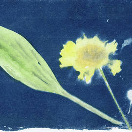 Serene Floral Essence by Elizabeth Reich