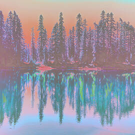 Serene Forest Lake Reflection by Bruce Block