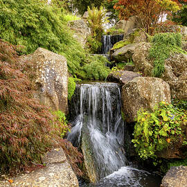 Serene Garden Waterfall Scene by Shirley Mitchell