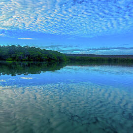 Serene Mangroves Under Patterned Sky by Bruce Block