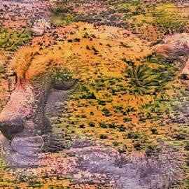Serengeti Cheetah by Bruce Block