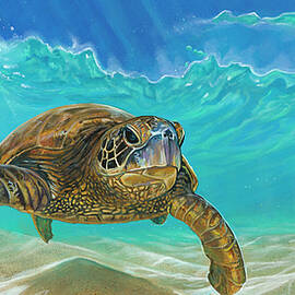 Serenity by Mark Ray