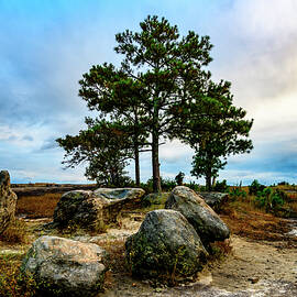 Shade on Arabia Mountain