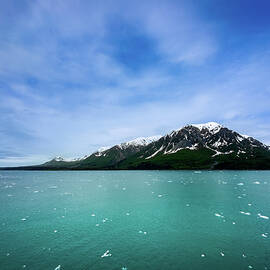 Shades of Blue by Dodie Ross