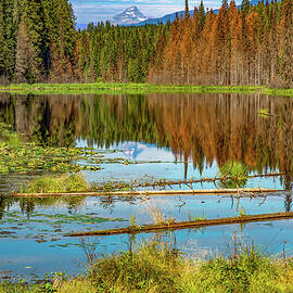 Shadow Lake by Michael DeGrenier