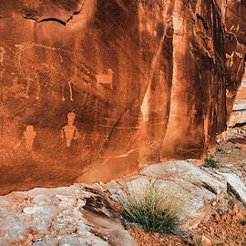 Sheep Petroglyphs at Owl Panel, Moab, Utah by Abbie Matthews