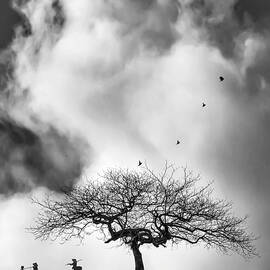 SHELTERING SKY II by Sofie Conte