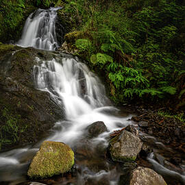 Shepperd's Dell Falls by Matt Halvorson