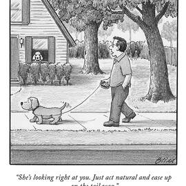 She's Looking Right At You by Harry Bliss