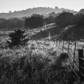 Shining Fence on Pinyon Juniper Hills in New Mexico by Mary Lee Dereske