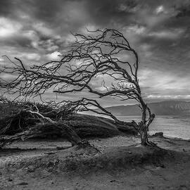 Shipwreck Beach by Michael DeGrenier