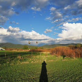 Shooting Ducks in Taos by Joe Schofield