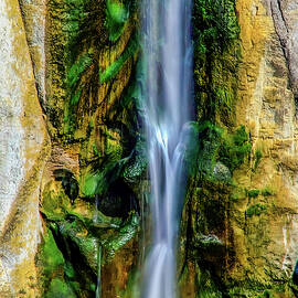 Shoshone Falls Idaho by Tommy Farnsworth