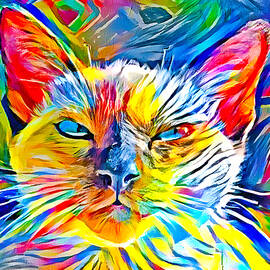Siamese cat face in the sun - colorful zebra pattern painting by Nicko Prints