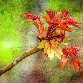 Signs of Spring by Penny Polakoff