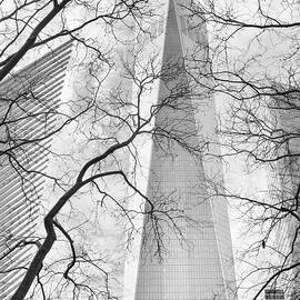 Bring to Light  Freedom Tower by Jessica Jenney