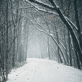Silent Passage by Kevin Schwalbe
