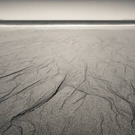 Silent Shore by Dave Bowman