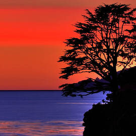 Silhouette by Beth Sargent