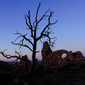 Between Silence and Stone by Robert Niemeier