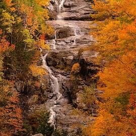 Silver and Gold.  by Jeff Sinon