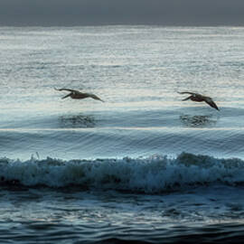 Skimming Over Sunrise Surf by Steven Sparks