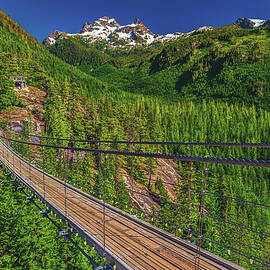 Sky Pilot Suspension Bridge, British Columbia by Abbie Matthews