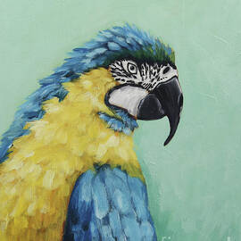 Sky the Parrot by Lucia Stewart