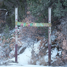 Slow Down and Smell the Roses by Mary Lee Dereske