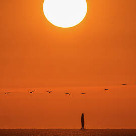 Slow Motion by Tommy Farnsworth