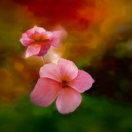 Small Pink Flowers by Ursula Abresch