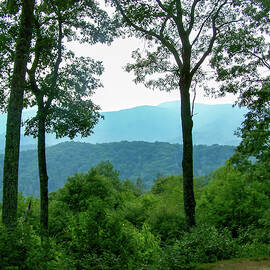 Smokey Mountains scene - average hot summer day by Flees Photos