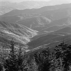 Smoky Mountains by Steven Nelson