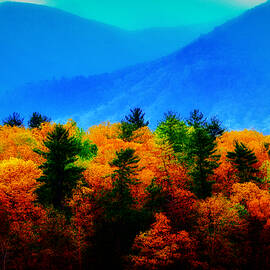 Smoky Vibrant Autumn Forest by Stefano Senise