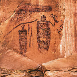 Snake in Mouth Panel, Utah - Vertical by Abbie Matthews
