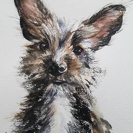 Snickers by Amanda Amend